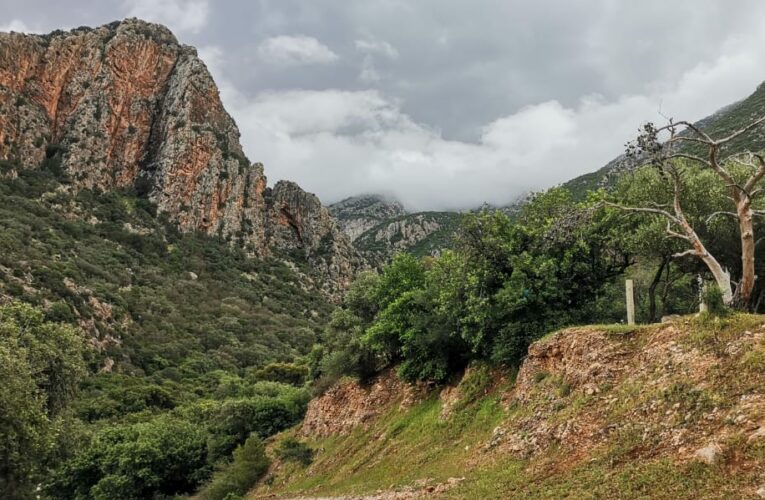 ترخيص مسبق إجباري لزيارة الحدائق الوطنية والمحميات الطبيعية