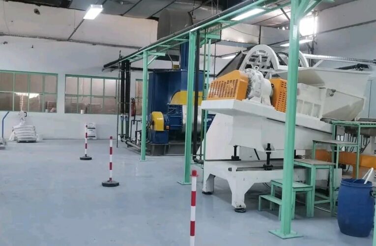 تونس تصدّر خبرتها في صناعة الورق الحجري إلى الجزائر