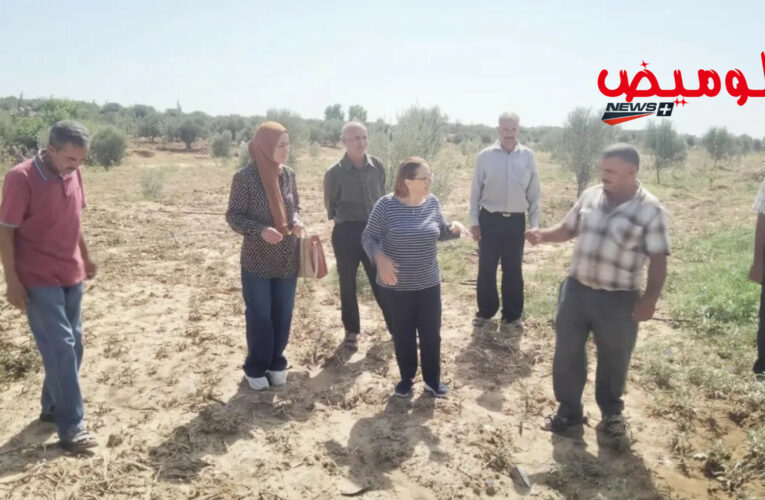 خطة ميدانية لمكافحة “الشويكة الصفراء” بالناظور