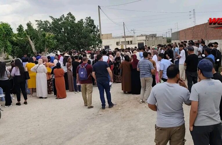 ليوني العملاق بالزريبة